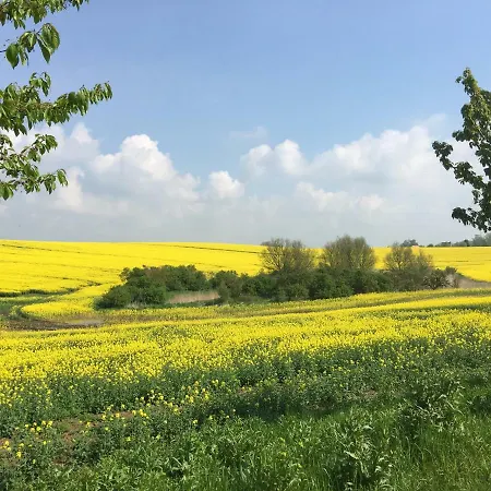Lea Lee Oberuckersee